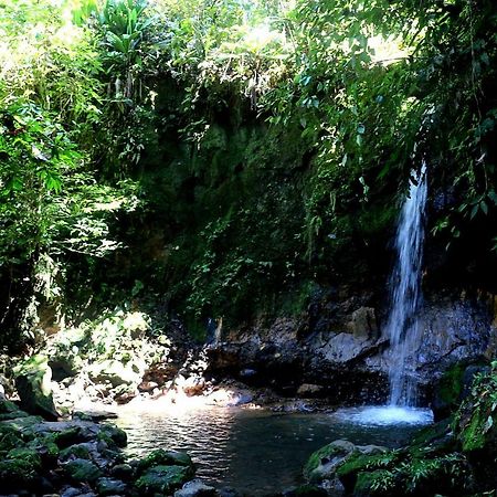 טנה Misahualli Amazon Lodge מראה חיצוני תמונה