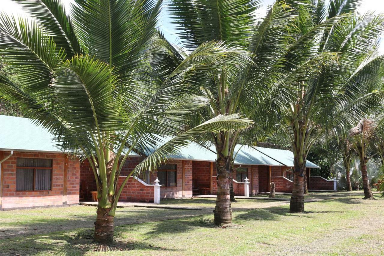 טנה Misahualli Amazon Lodge מראה חיצוני תמונה